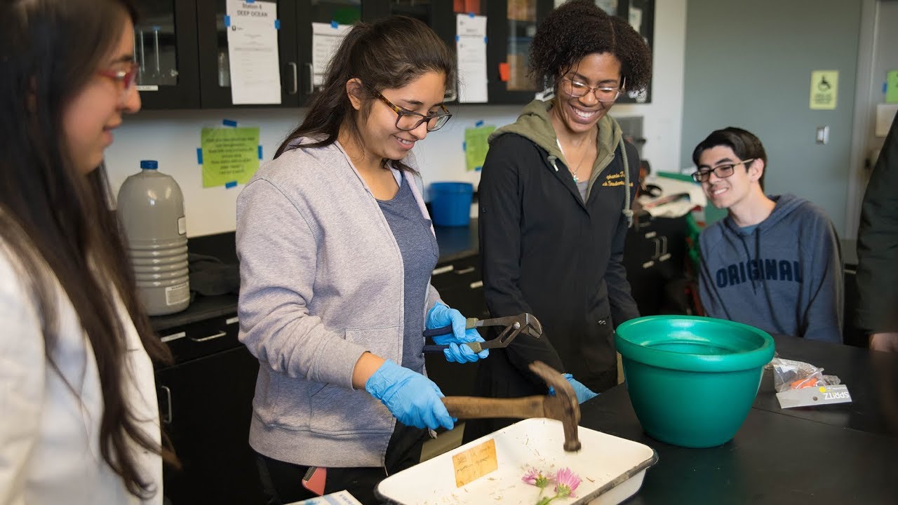Student-led outreach to boost diversity in STEM