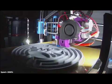 Westworld Maze 3D Print @ 3000% Speed