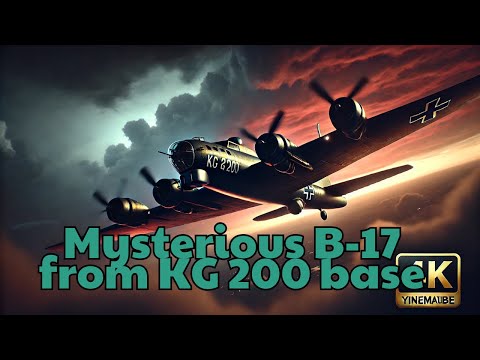 Why a German Kamikaze Cried Tears of Joy #Documentary #Kamikaze #WarStories #History