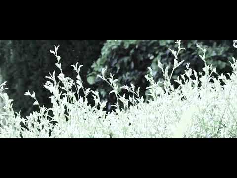 Lizz Sainani... New Song.. Title : Nthawi... Time