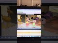 Disneys The Emperors New School The Kids With Kuzco Learned About Red Eye Tree Frogs As Kuzco