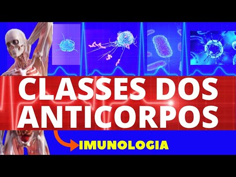 CLASSE DOS ANTICORPOS (TIPOS OU ISOTIPOS DE ANTICORPOS) - FUNÇÕES DOS ANTICORPOS - IMUNOLOGIA