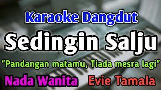 Download lagu SEDINGIN SALJU - KARAOKE || NADA WANITA CEWEK || Dangdut Band || Evie Tamala || Live Keyboard mp3