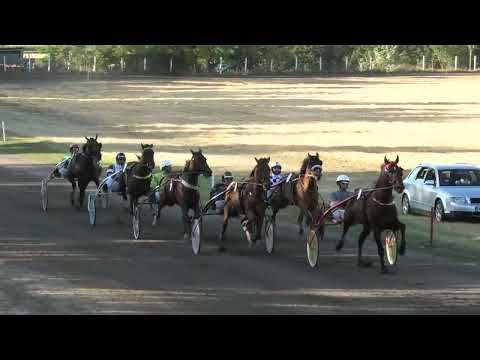 Trka "Petrovdanska trka" 10.7.2022. Iago d'Amore - Vereb Andor