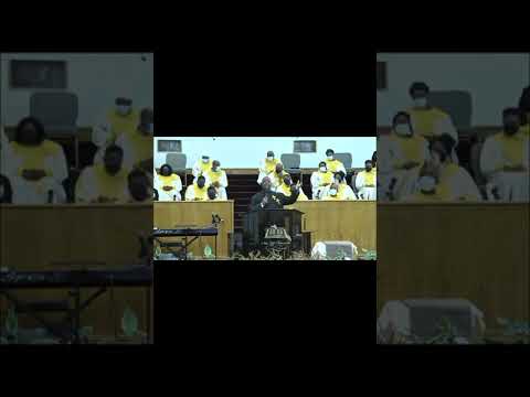 Focus on the Family begins!