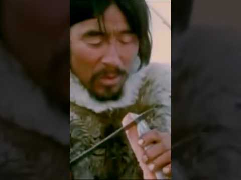 Inuit / Eskimo genetic adaptation to cold.