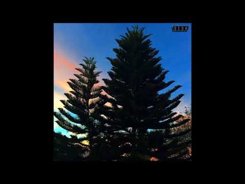 02. drew the architect - dial flower (ft. drip-133)