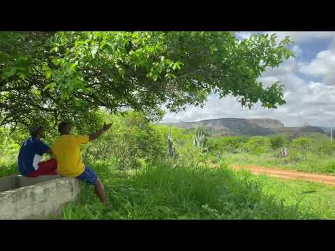 De Rolê no Sítio Alcobaça - Buíque -PE 2025 Gravações do Curta metragem " Raízes"