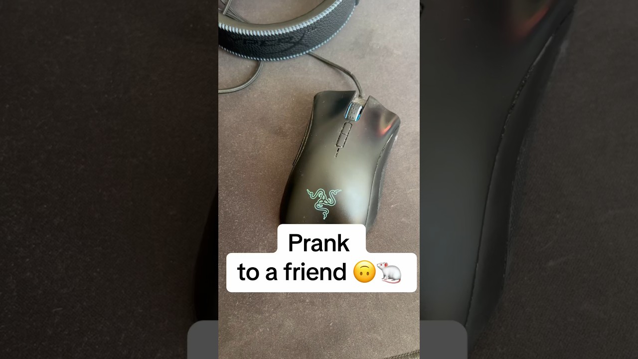 Prank to a friend 🤫🐁💻🧑‍💻#mouse #computer #prank #sticker #arcticpanda