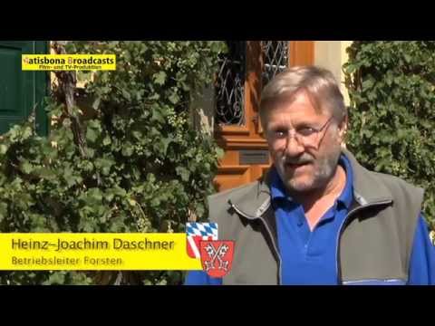 Ratgeber: Tipps zur Waldbrandvorbeugung