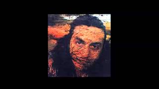 Taiguara - A volta do pássaro ameríndio