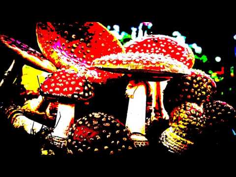 Polykaos - Amanite Muscaria