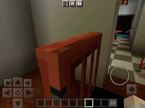 Talking kitty cat in Minecraft-37 Sylvester goes to the vet