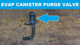 How To Test and Replace an EVAP Canister Purge Valve P1456 P1457