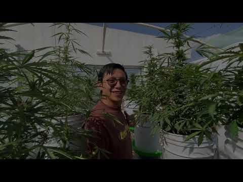 German I ft Ranking Pow- Armageddon (2023)