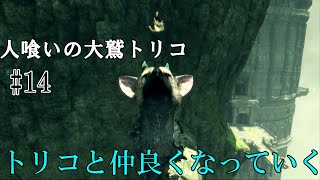 【人喰いの大鷲トリコ】第十四回　トリコと仲良くなっていく