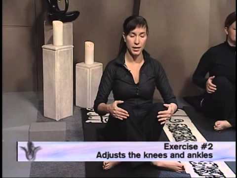 Uniquely Pure Lymph System Series