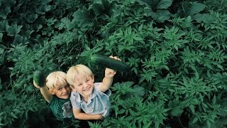 Welcome To The (garden) Jungle!