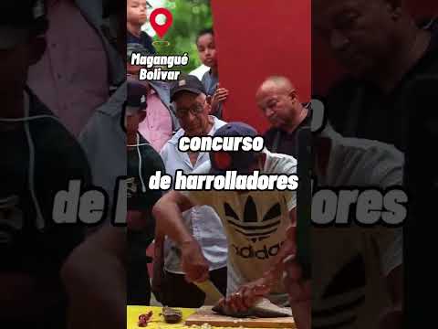 Festival del bocachico en Magangué Bolivar 🔥😋🐟