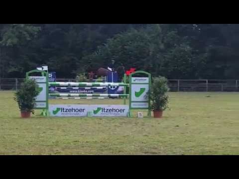 Stall VÖLZ - Hengst LOVELESS / M** Fridrichshulde 2017-08