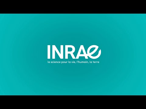 Teaser INRAE