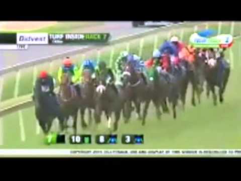 2015 03 saf Bouclette Top