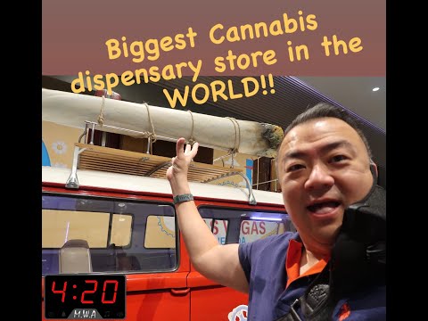 Biggest Cannabis Dispensary Store in the World | Las Vegas | ThisGuyKenny