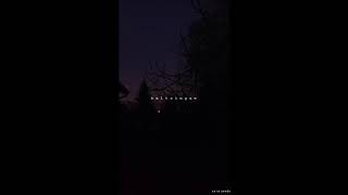 Baltringue - Damso (cover) | Cara Sends 🌉