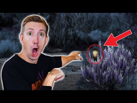 FOUND HACKER CAUGHT ON CAMERA in HAUNTED ABANDONED TOWN (Exploring Crime Scene Mystery)