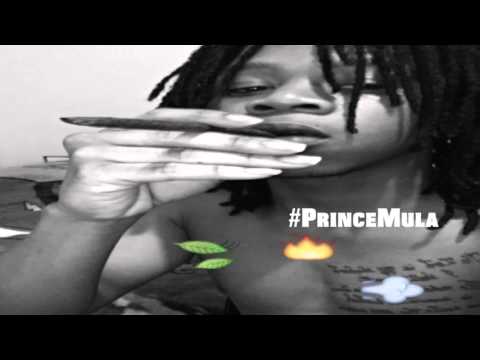 ( Chicago Artist ) Prince Mula " You Gettin Nothing" | Official Leakk |