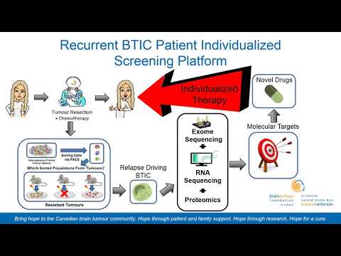 Dissecting Brain Tumour Initiating Cell Properties in Diffuse Astrocytoma