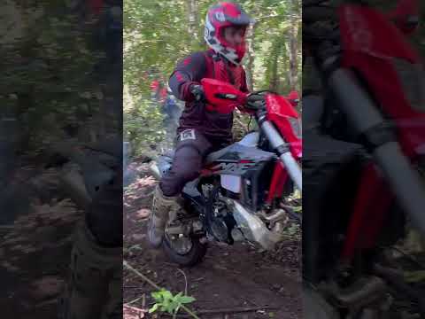 Trilha em Ibirataia #bahia #automobile #trilhasradicais #offroad #trilha #roiadas #mxf #mxf300ts