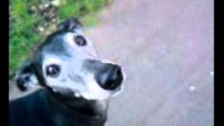 Here Today Gone Tomorrow u tube