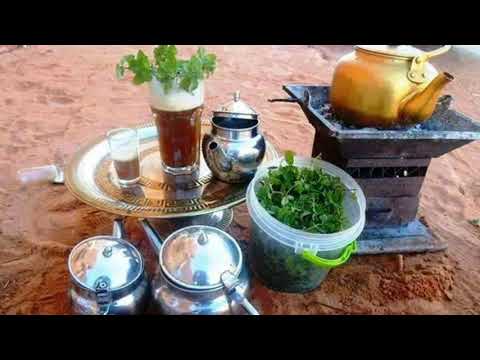 El Menia ( El Goléa)...المنيعة...ِ!