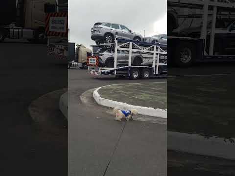 Pista de abastecimento de caminhões posto rede hg Rafael jambeiro Bahia