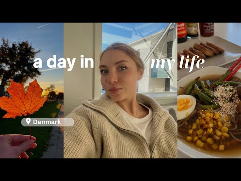 Затишний осінній влог🍁 | моя ранкова рутина, навчання |  наш продуктовий кошик