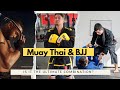 Combining Brazilian Jiu Jitsu and Muay Thai for the Ultimate Martial Arts Experience
