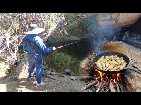 NA BEIRA DA CACHOEIRA PESCANDO LAMBARI É FAZENDO FRITO 