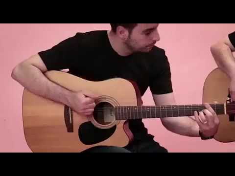 Lyrycal son Menjemadhe | cover by elita ziberi |