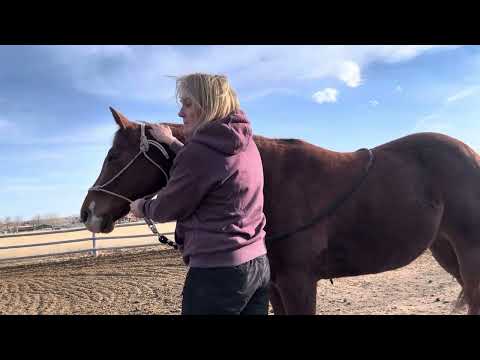 Cooper - Neck Jiggle, Rhomboid Rub and Full Neck Rub