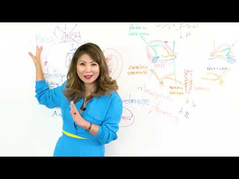 HISTERECTOMIA MENOPAUSA PRECOCE