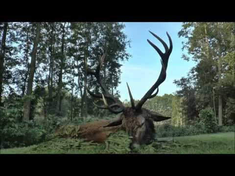 Strecke am Abend und am Morgen!