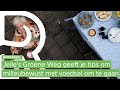 Jelle's Groene Weg #6: milieubewust omgaan met voeding