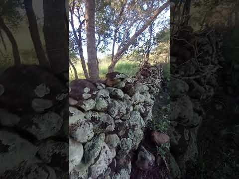 Cerca de pedras localizada no município de Riachão das neves-BA. #cercadepedras #monumento #antigo