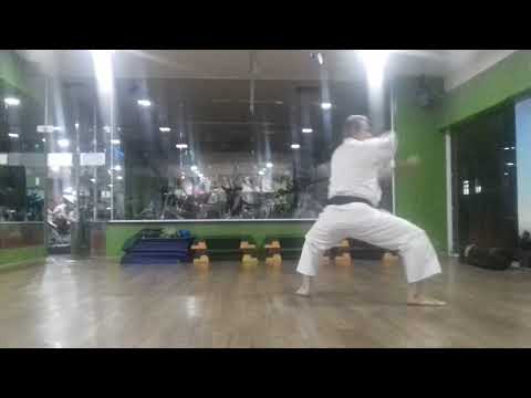 Kata Seienchin  Goju Ryu