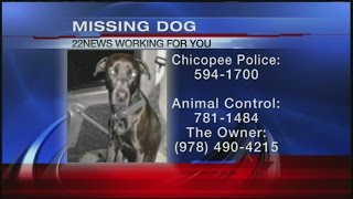 Driver charged with OUI in Chicopee crash; dog still missing