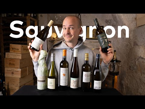 Os melhores VIVINO SAUVIGNON BLANCs? Mestre em degustação de vinhos em todo o mundo Sauvignons