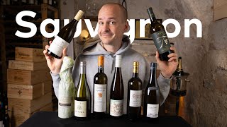 Best VIVINO SAUVIGNON BLANCs Master of Wine Tastes Worldwide Sauvignons