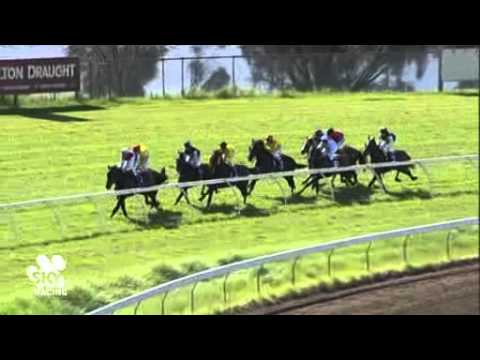 Race 2 - Ascot - 2704/13