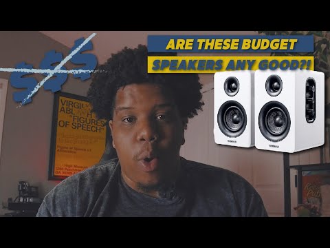 Unboxing and Reviewing Sanyun: The Ultimate Budget Speaker!